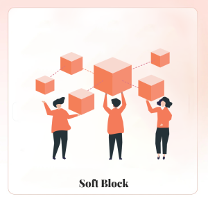 Soft Blocks CDN
